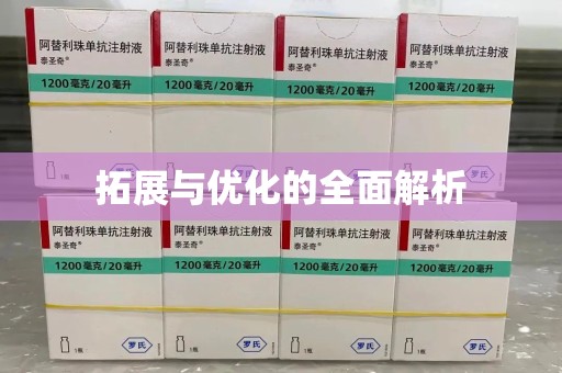 阜阳拓展与优化的全面解析