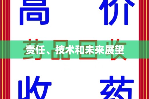 阜阳责任、技术和未来展望