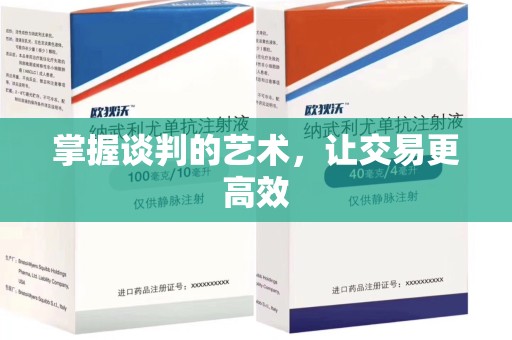 阜阳掌握谈判的艺术，让交易更高效