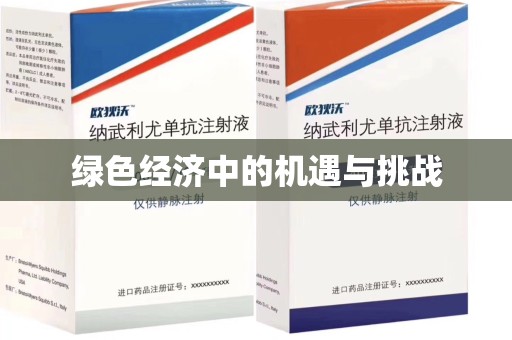 阜阳绿色经济中的机遇与挑战