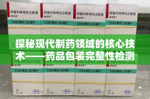 阜阳探秘现代制药领域的核心技术——药品包装完整性检测的科学与应用