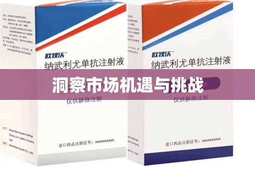 阜阳洞察市场机遇与挑战