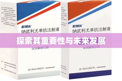 阜阳探索其重要性与未来发展