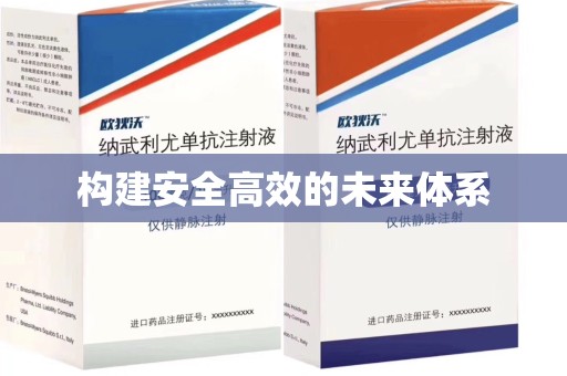 阜阳构建安全高效的未来体系