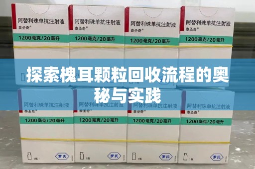 阜阳探索槐耳颗粒回收流程的奥秘与实践