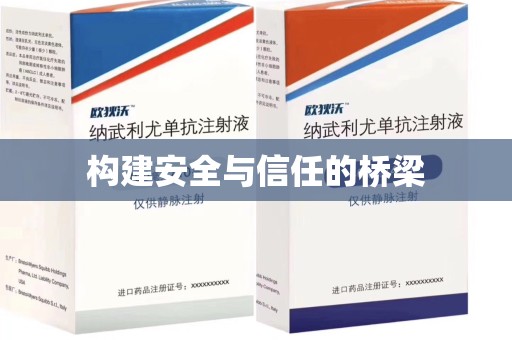 阜阳构建安全与信任的桥梁